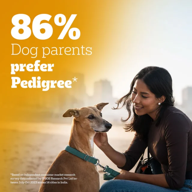 Pedigree Adult Dry Dog Food – Meat & Rice (10kg | 20kg) - Image 3