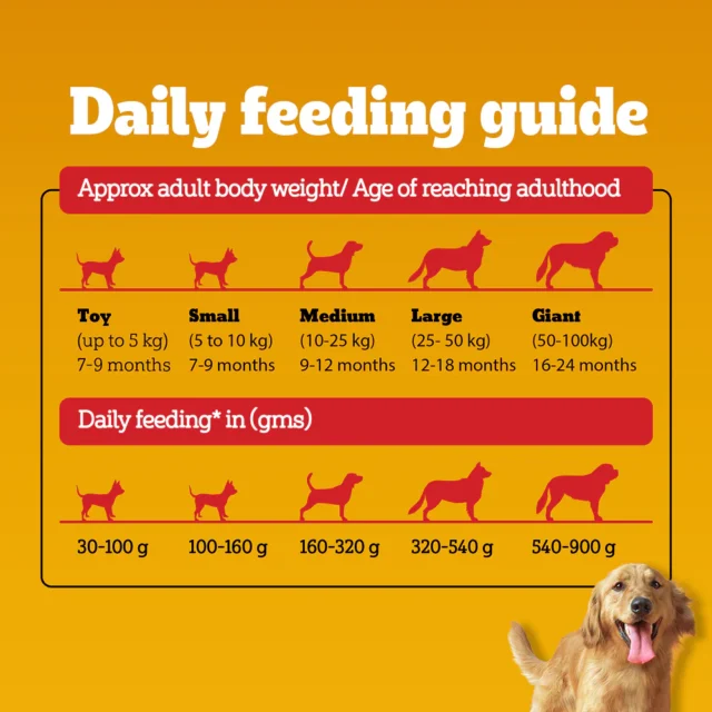 Pedigree Adult Dry Dog Food – Meat & Rice (10kg | 20kg) - Image 6