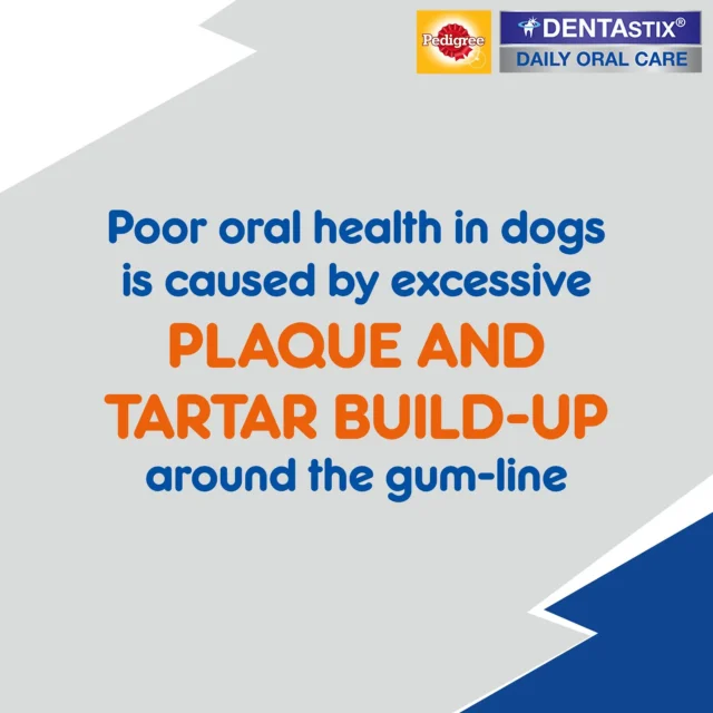 Pedigree Dentastix Oral Care – Adult Large Breed (25 kg+), 270 g (7 sticks) – 10‑Pack Box - Image 10