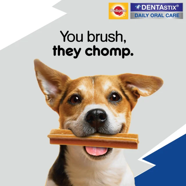 Pedigree Dentastix Oral Care – Adult Large Breed (25 kg+), 270 g (7 sticks) – 10‑Pack Box - Image 9