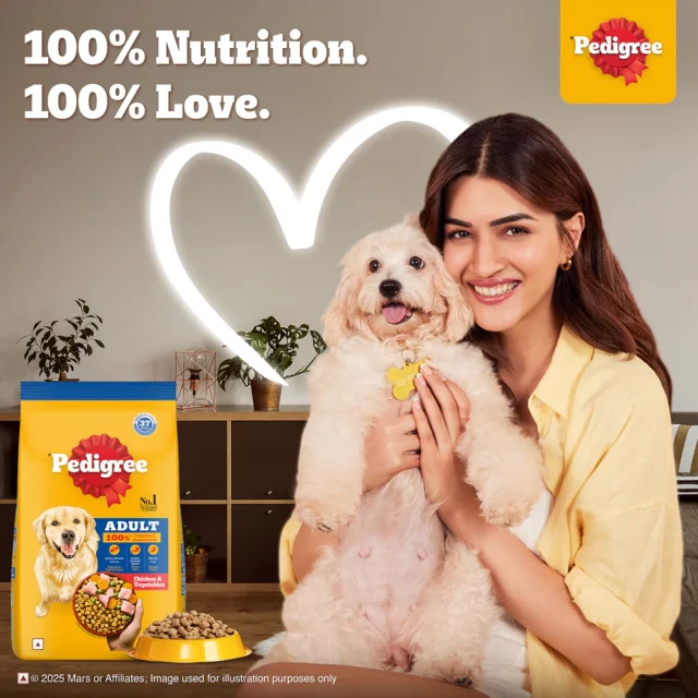 Adult Dry Dog Food – Chicken & Vegetables (370g | 1kg | 2.8kg | 5.5kg) - Image 2