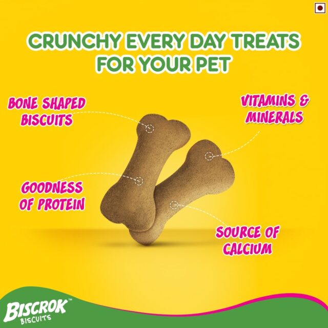 Pedigree Biscrok Biscuits Milk & Chicken Flavor (500g & 900g) - Image 3