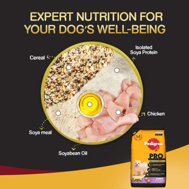 Pedigree PRO Puppy Small Breed Dog Food (1.2kg | 3kg) - Image 4