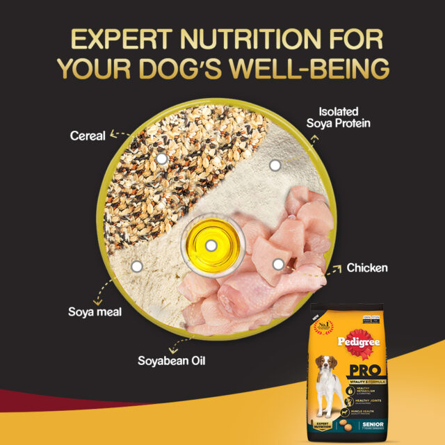 Pedigree PRO Senior Dog Food (1.2kg | 3kg) - Image 5