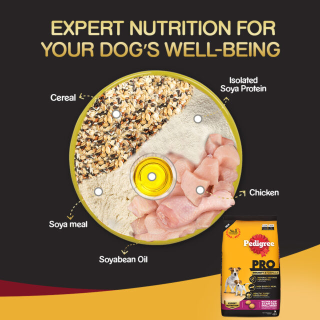Pedigree PRO Mother & Pup Starter – Small Breed (1.2kg | 3kg) - Image 4