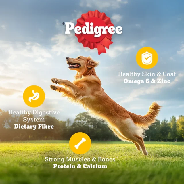 Pedigree Adult Dry Dog Food – Meat & Rice (10kg | 20kg) - Image 2