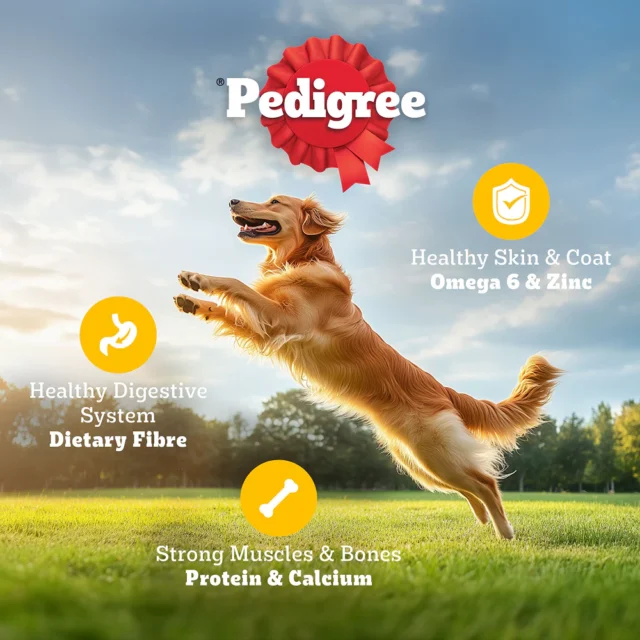 Adult Dry Dog Food – Chicken & Vegetables (370g | 1kg | 2.8kg | 5.5kg) - Image 15