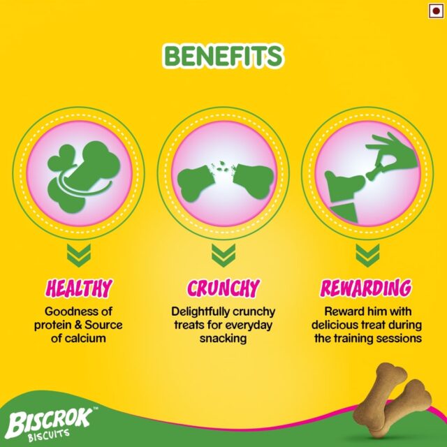 Pedigree Biscrok Biscuits Milk & Chicken Flavor (500g & 900g) - Image 5