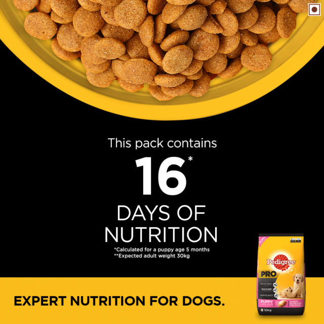 Pedigree PRO Puppy Large Breed Dog Food (3kg | 10kg | 20kg) - Image 4