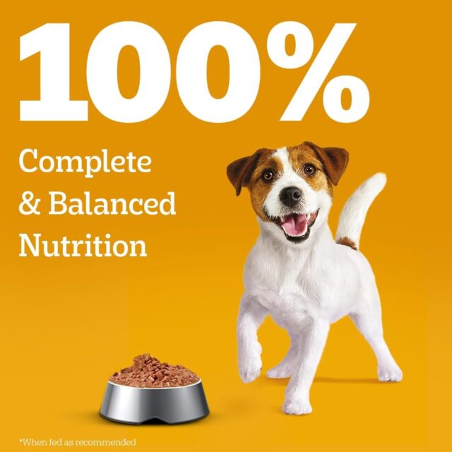 Pedigree Puppy Wet Dog Food – Chicken Chunks in Gravy, 130 g (Pack of 1 / 12 / 120) - Image 12