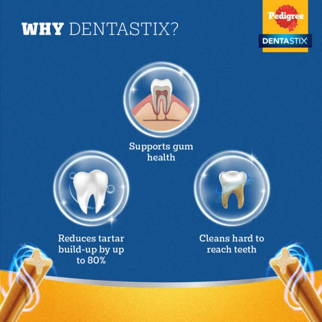 Pedigree Dentastix Oral Care – Adult Large Breed (25 kg+), 270 g (7 sticks) – 10‑Pack Box - Image 3