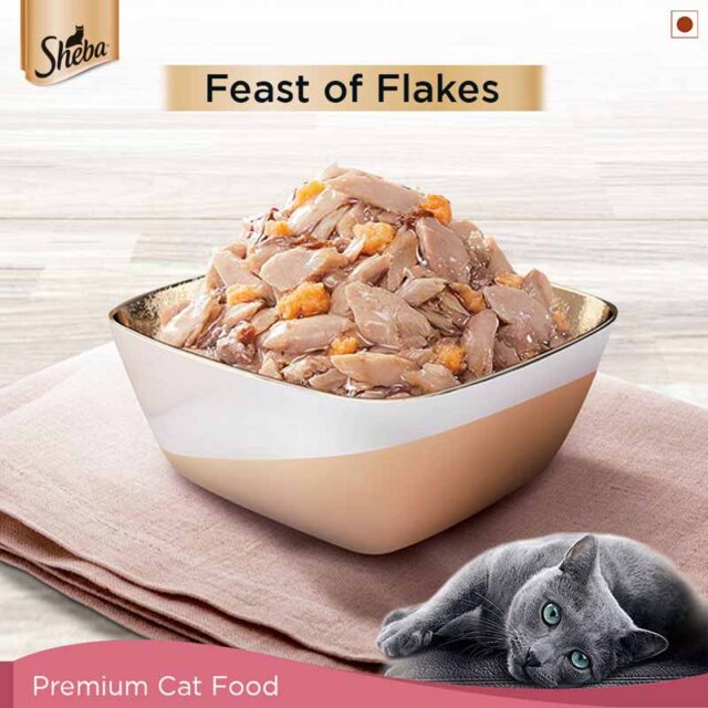 Sheba Premium Wet Cat Food – Fish Mix (Skipjack & Salmon) in Gravy, 35 g Pouch (Pack of 1 & Pack of 12) - Image 5