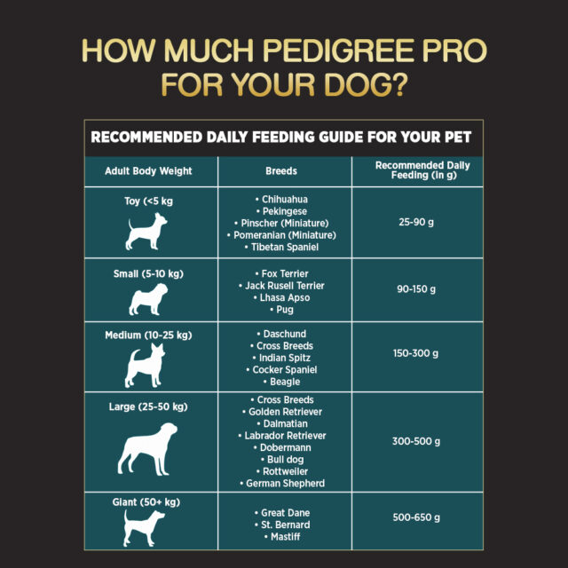 Pedigree PRO Senior Dog Food (1.2kg | 3kg) - Image 7