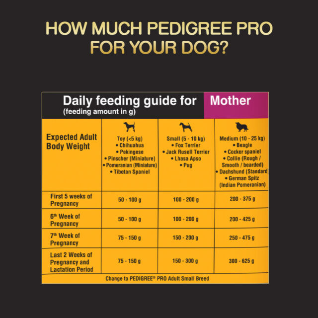 Pedigree PRO Mother & Pup Starter – Small Breed (1.2kg | 3kg) - Image 6