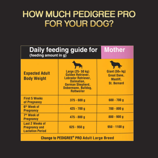 Pedigree PRO Mother & Pup Starter Large Breed Dog Food (1.2kg | 3kg | 10kg) - Image 7