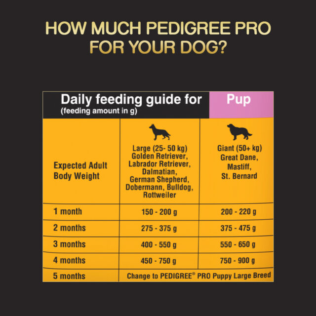 Pedigree PRO Mother & Pup Starter Large Breed Dog Food (1.2kg | 3kg | 10kg) - Image 6