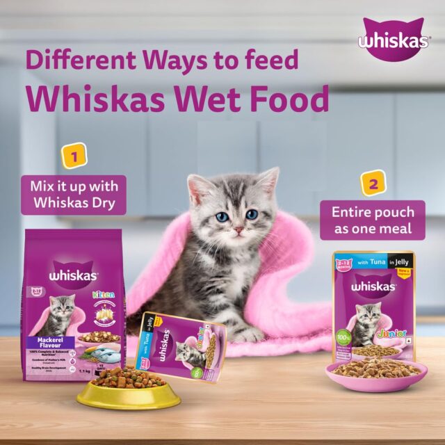 Whiskas Junior Kitten (2–12 Months) Tuna in Jelly Wet Cat Food – 80g (Pack of 1 / 14 / 56) - Image 12