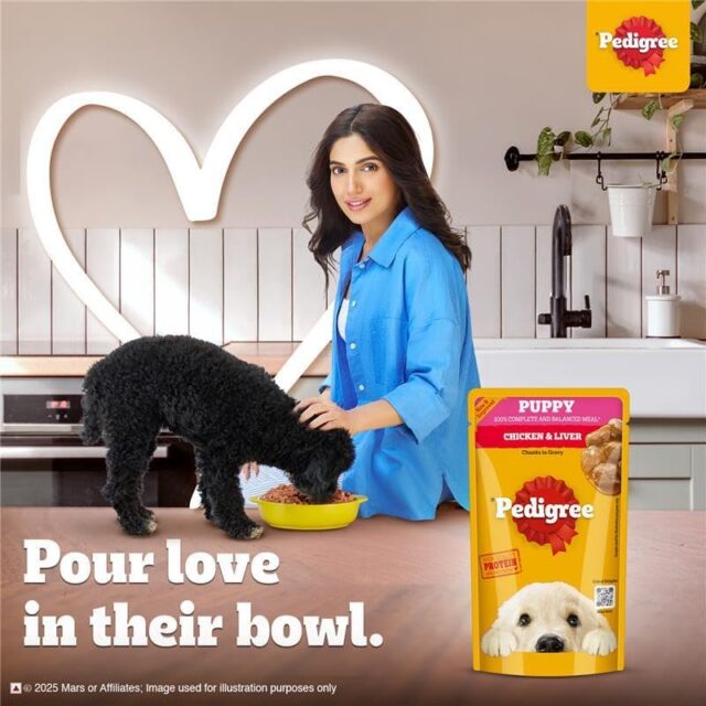 Pedigree Puppy Wet Dog Food – Chicken Chunks in Gravy, 130 g (Pack of 1 / 12 / 120) - Image 15