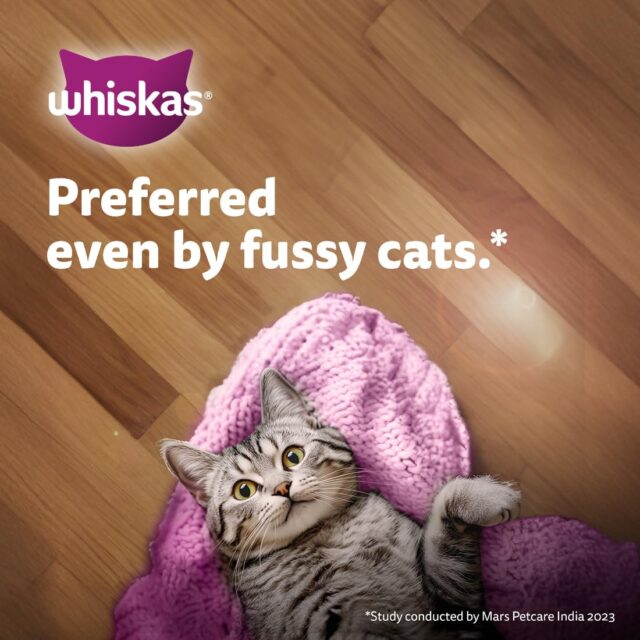 Whiskas Tasty Mix - Chicken With Salmon Wakame Seaweed in 70g (Pack Of 1 / 14 / 28) - Image 10
