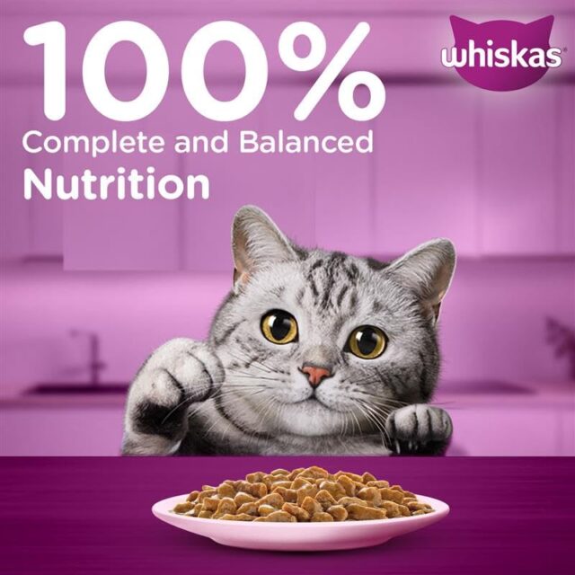 Whiskas Adult (1+ Years) Wet Cat Food – Salmon in Gravy 80g (Pack of 1 / 14 / 56) - Image 12