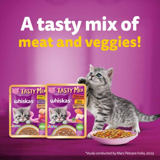 Whiskas Tasty Mix Kitten (2-12 Months) Wet Cat Food, Seafood Cocktail Carrot Flavour in Gravy, 70g (Pack Of 1 / 14 / 28) - Image 21