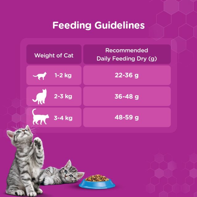 Whiskas Adult (1+ Years) Hairball Control Dry Cat Food – Chicken & Tuna Flavour (450 g | 1.1 kg) - Image 6