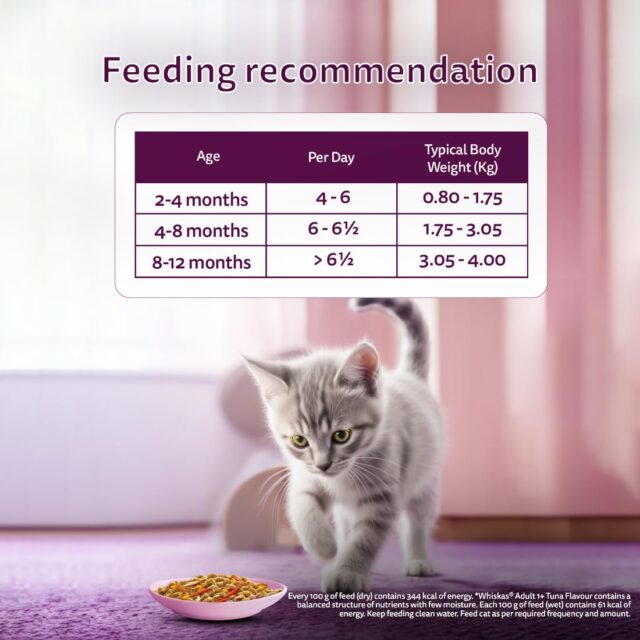 Whiskas Tasty Mix Kitten (2-12 Months) Wet Cat Food, Seafood Cocktail Carrot Flavour in Gravy, 70g (Pack Of 1 / 14 / 28) - Image 10