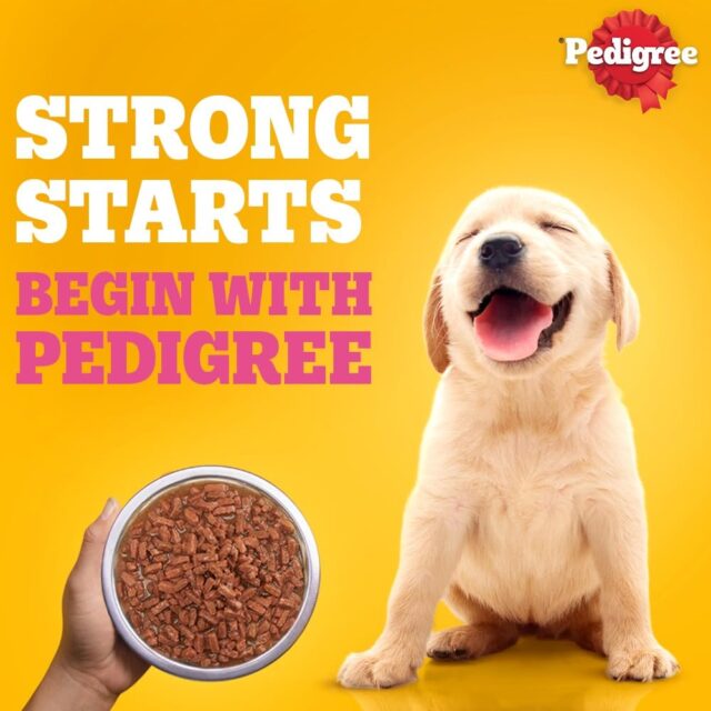 Pedigree Puppy Wet Dog Food – Chicken Chunks in Gravy, 130 g (Pack of 1 / 12 / 120) - Image 14