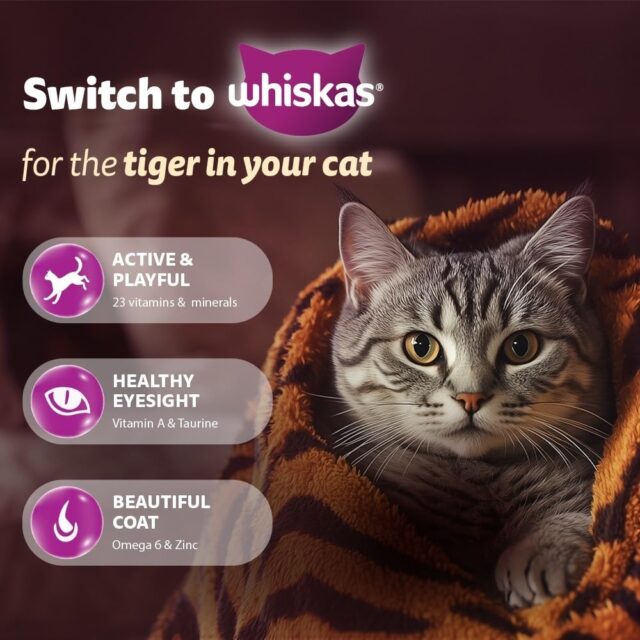 Whiskas Adult Ocean Fish Flavour (480g | 1.2 kg | 3 Kg) - Image 18