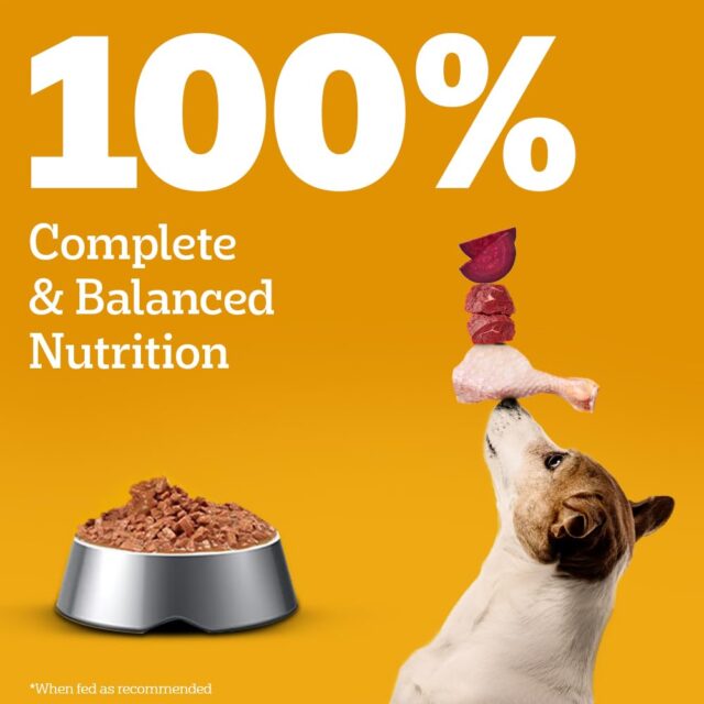 Pedigree Adult Wet Dog Food – Chicken & Liver Chunks in Gravy, 70 g (Pack of 1 / 15 / 30) - Image 13