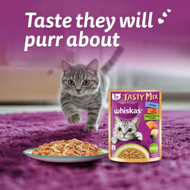 Whiskas Tasty Mix - Chicken With Salmon Wakame Seaweed in 70g (Pack Of 1 / 14 / 28) - Image 13