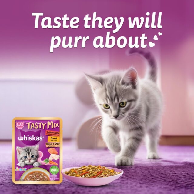 Whiskas Tasty Mix Kitten (2-12 Months) Wet Cat Food, Seafood Cocktail Carrot Flavour in Gravy, 70g (Pack Of 1 / 14 / 28) - Image 14