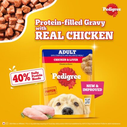 Pedigree Adult Wet Dog Food – Chicken & Liver Chunks in Gravy, 70 g (Pack of 1 / 15 / 30)