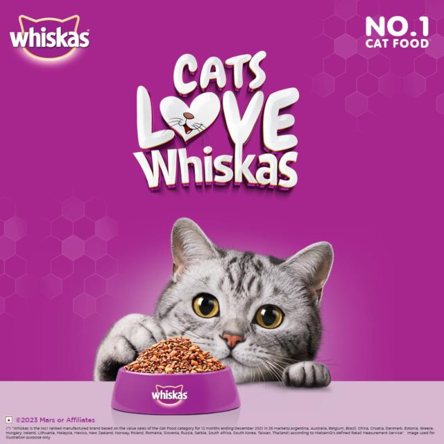 Whiskas Adult Ocean Fish Flavour (480g | 1.2 kg | 3 Kg) - Image 4