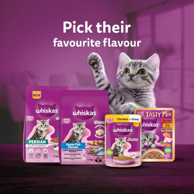 Whiskas Tasty Mix Kitten (2-12 Months) Wet Cat Food, Seafood Cocktail Carrot Flavour in Gravy, 70g (Pack Of 1 / 14 / 28) - Image 7
