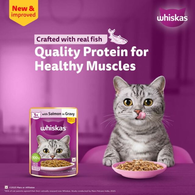 Whiskas Adult (1+ Years) Wet Cat Food – Salmon in Gravy 80g (Pack of 1 / 14 / 56) - Image 7