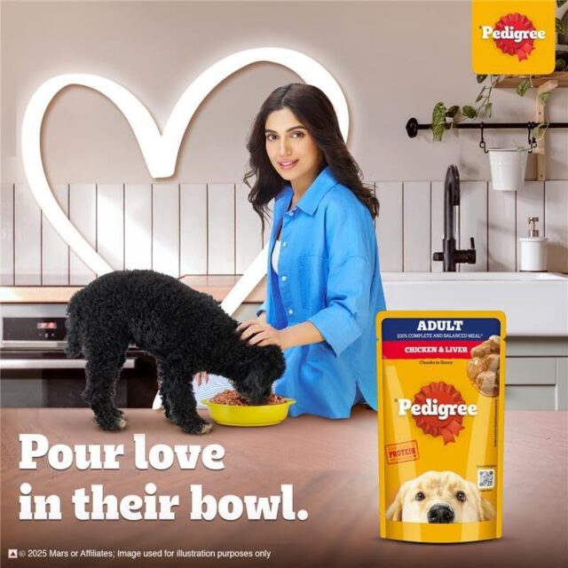Pedigree Adult Wet Dog Food – Chicken & Liver Chunks in Gravy, 130 g (Pack of 1 / 12 / 120) - Image 15