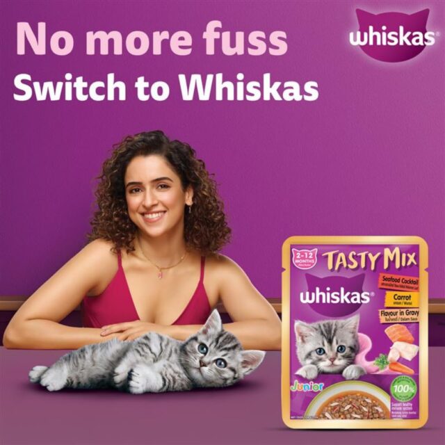 Whiskas Tasty Mix Kitten (2-12 Months) Wet Cat Food, Seafood Cocktail Carrot Flavour in Gravy, 70g (Pack Of 1 / 14 / 28) - Image 2