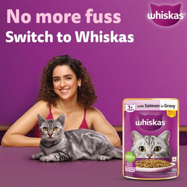 Whiskas Adult (1+ Years) Wet Cat Food – Salmon in Gravy 80g (Pack of 1 / 14 / 56) - Image 2