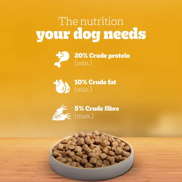 Pedigree Adult Dry Dog Food – Meat & Rice (10kg | 20kg) - Image 10
