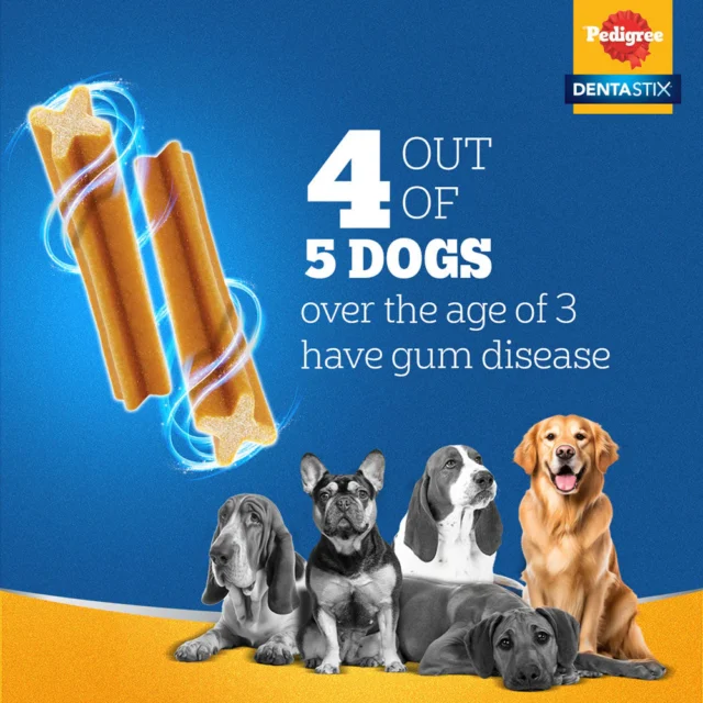 Pedigree Dentastix Oral Care – Adult Large Breed (25 kg+), 270 g (7 sticks) – 10‑Pack Box - Image 8