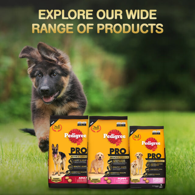 Pedigree PRO Puppy Small Breed Dog Food (1.2kg | 3kg) - Image 8