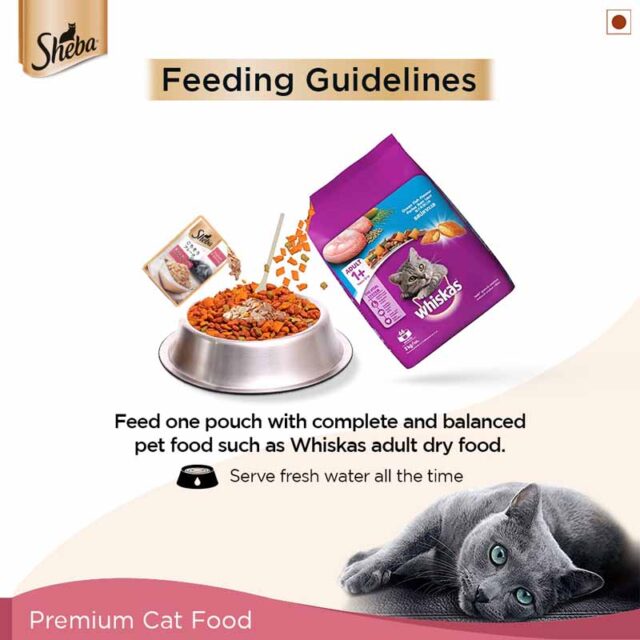 Sheba Premium Wet Cat Food – Fish Mix (Skipjack & Salmon) in Gravy, 35 g Pouch (Pack of 1 & Pack of 12) - Image 6
