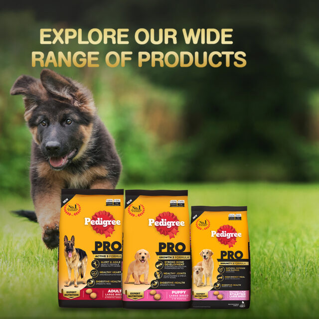Pedigree PRO Senior Dog Food (1.2kg | 3kg) - Image 8