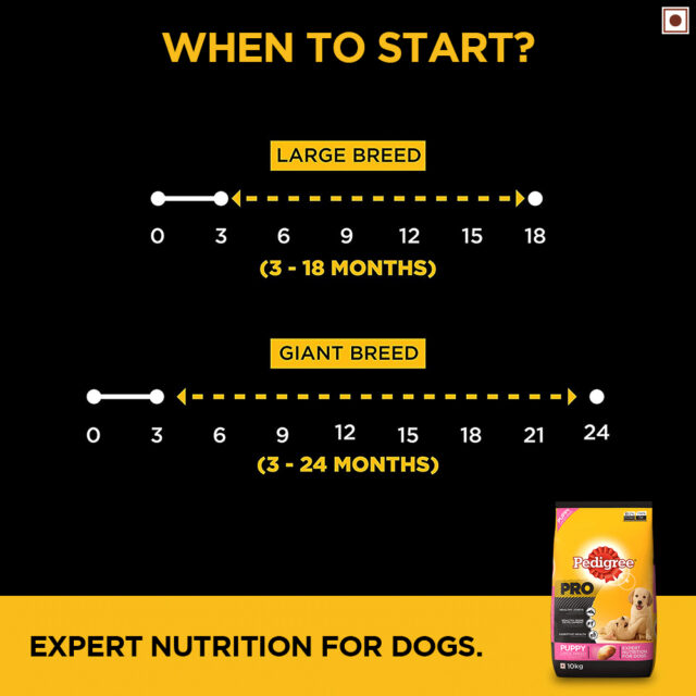 Pedigree PRO Puppy Large Breed Dog Food (3kg | 10kg | 20kg) - Image 5