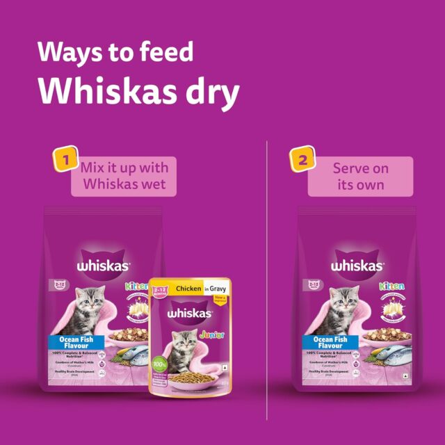 Whiskas Junior Mother Cat & Kitten (2-12 Months) Dry Cat Food, Ocean Fish Flavour (450 g | 1.1kg) - Image 9