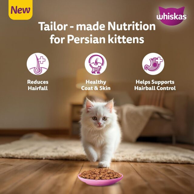 Whiskas Persian Kitten (2–12 Months) Dry Cat Food (400 g | 1.1 kg | 2.8 kg | 6.8 kg) - Image 6