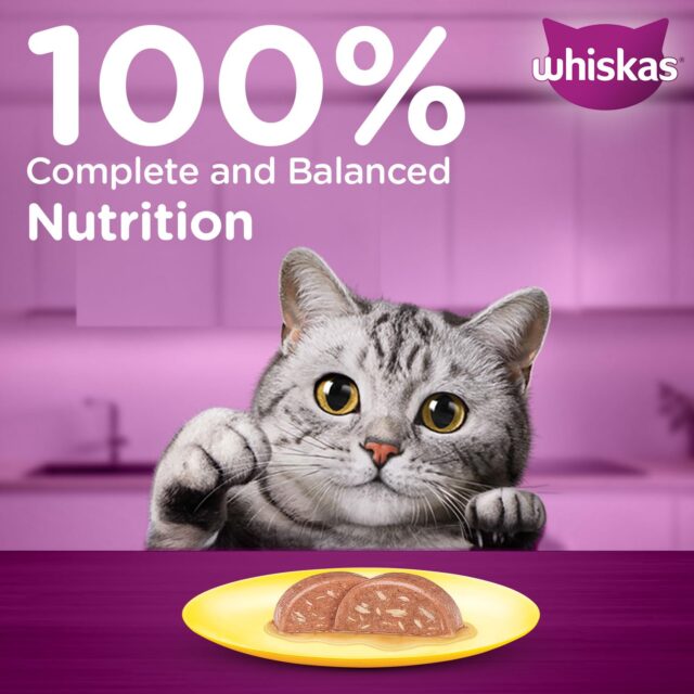 Whiskas Adult (1+ Years) Wet Cat Food, Tuna & White Fish Flavour 80g (Pack of 1 / 14 / 28) - Image 14