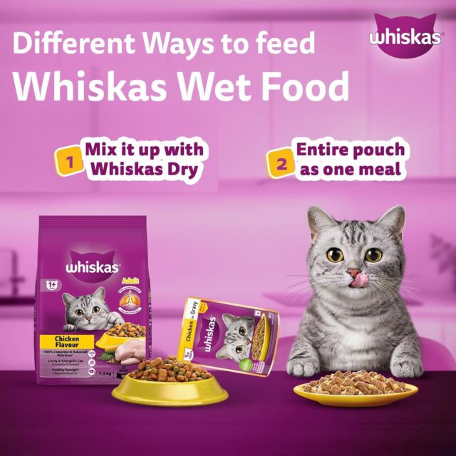 Whiskas Adult Chicken in Gravy – 80g (Pack of 1 / 14 / 56) - Image 13