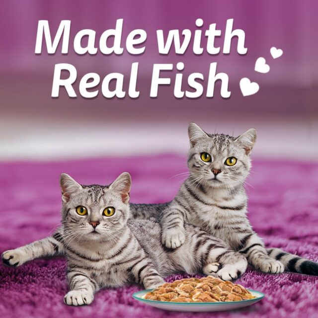 Whiskas Tasty Mix - Chicken With Salmon Wakame Seaweed in 70g (Pack Of 1 / 14 / 28) - Image 19
